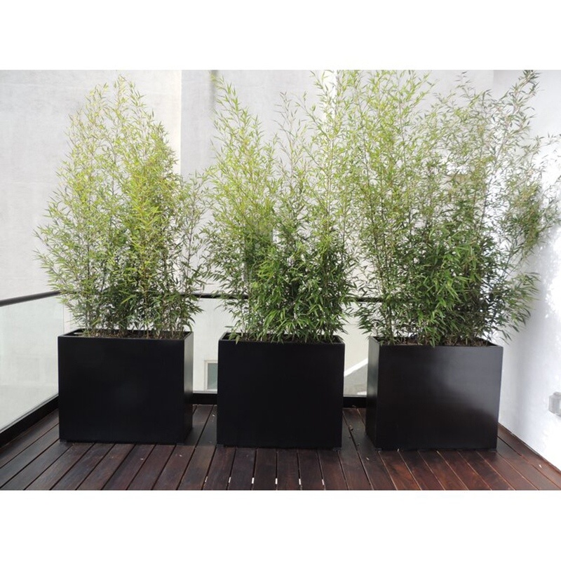 Steel Planter Boxes Steel Planter Boxes