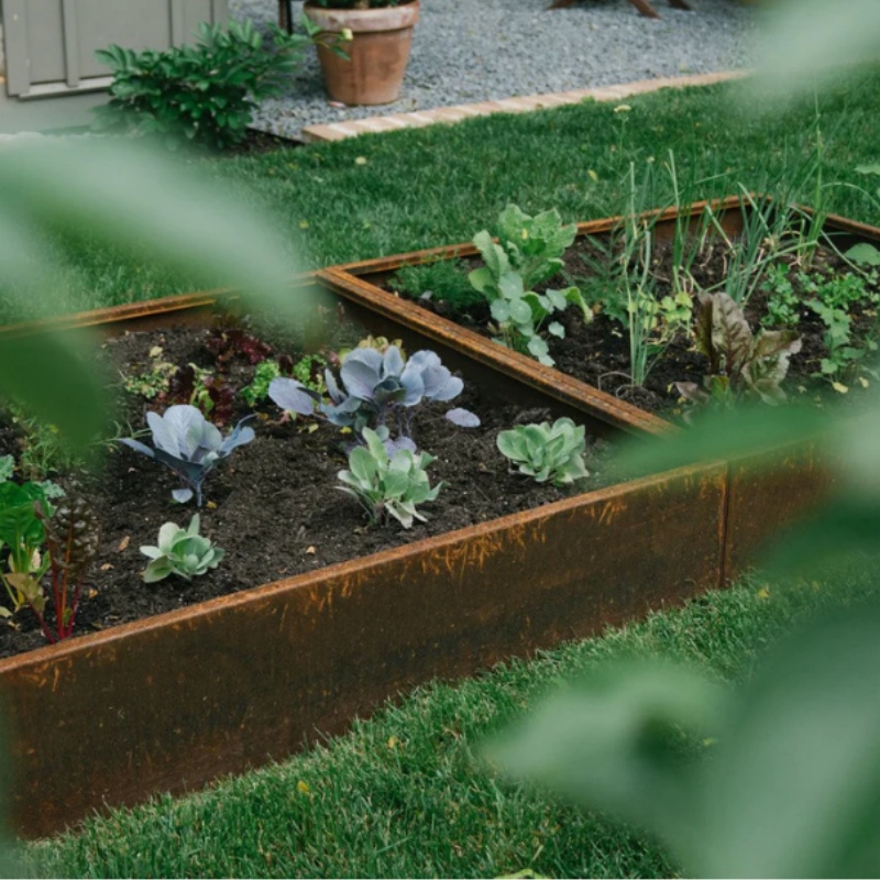 Corten Steel Edging Corten Steel Edging