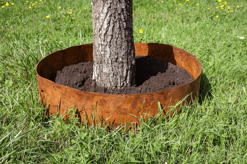 Anelli per alberi in acciaio corten Anelli per alberi in acciaio corten