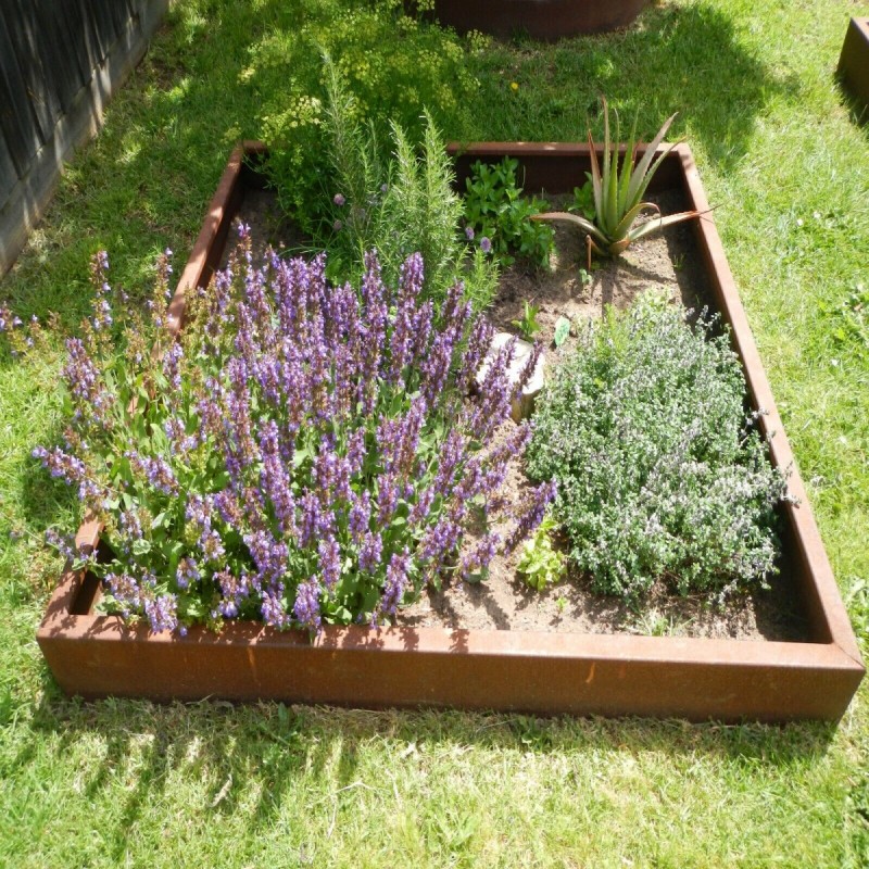 Corten Garden Beds