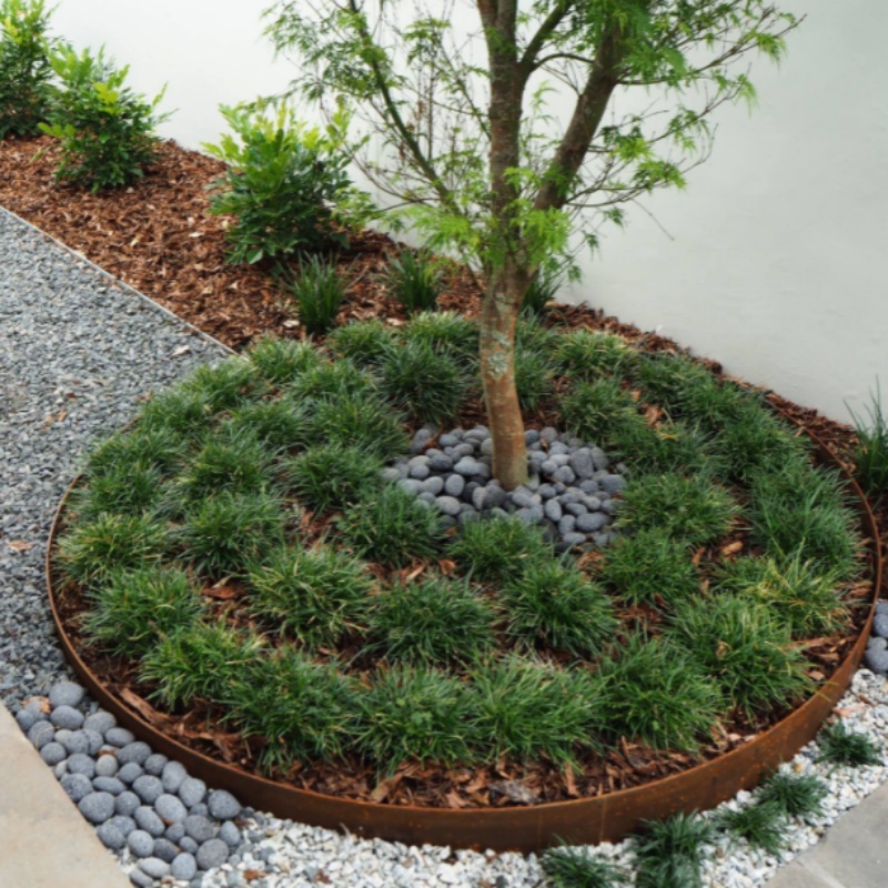 Anelli per alberi da giardino in corten