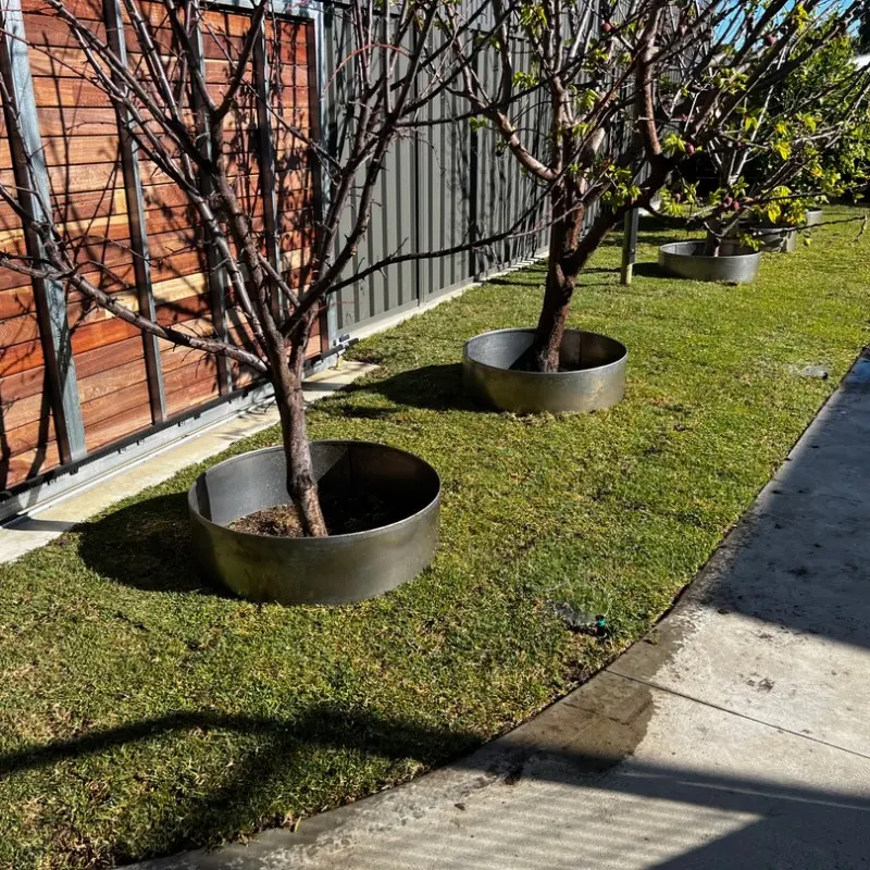 Galvanised Tree Edging