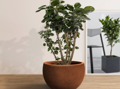 Steel Planters Outdoor