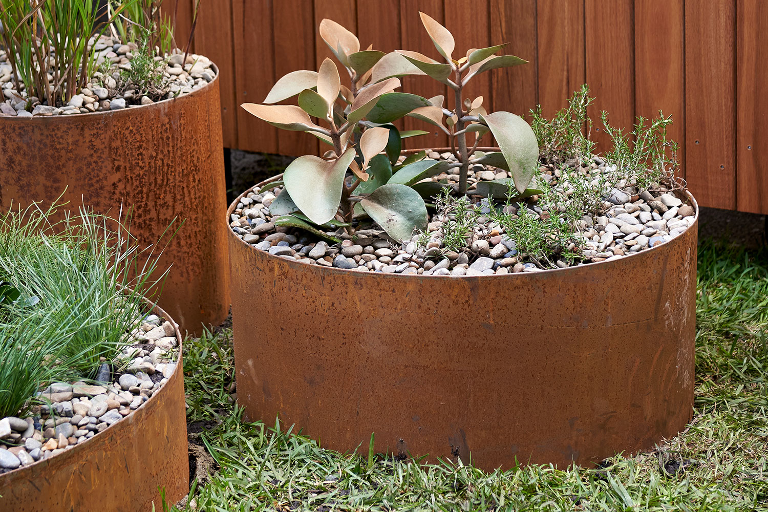 Anelli per alberi in acciaio corten Anelli per alberi in acciaio corten