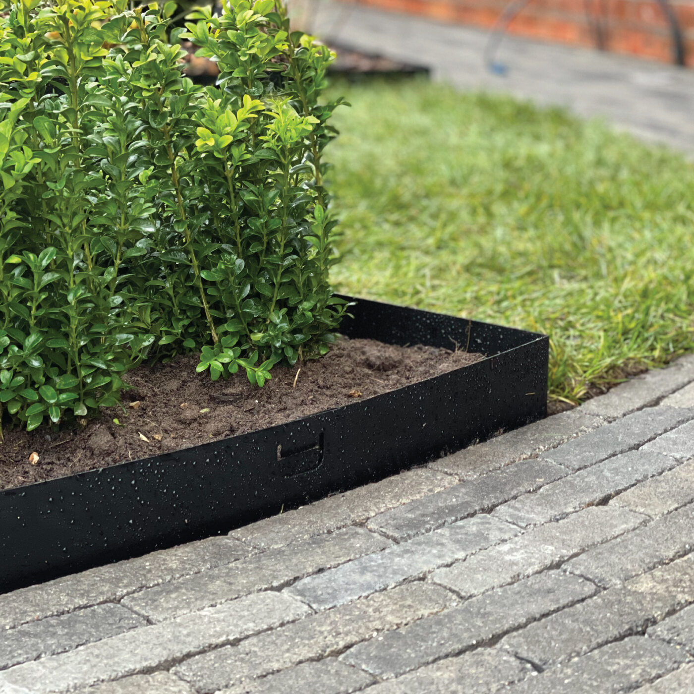 Metal Flower Bed Edging Metal Flower Bed Edging
