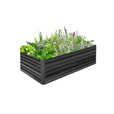 Corrugated Iron Raised Beds