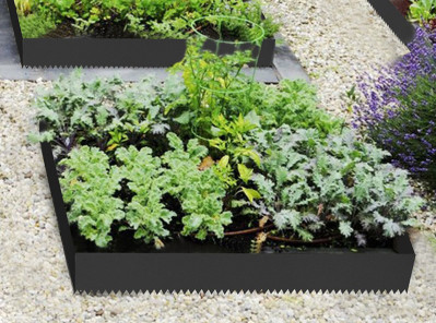 Black Metal Garden Edging