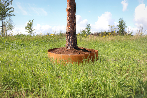 Anelli per alberi in acciaio corten Anelli per alberi in acciaio corten